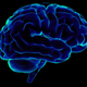 Illustration for article titled Neuroscientists Translate Brain Waves Into Recognizable Speech